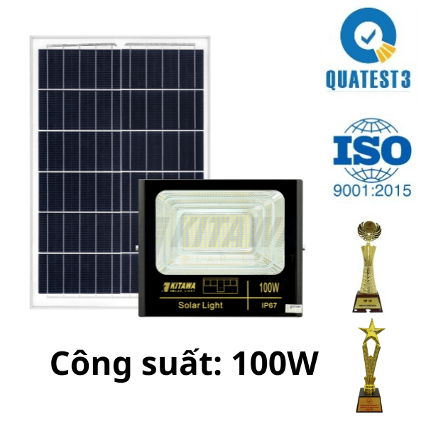 dp1100-single-1